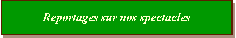 Zone de Texte: Reportages sur nos spectacles